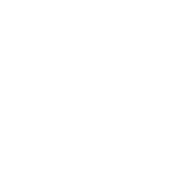 Customizable, User-Friendly Reporting Tool