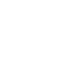 Quick Access to Patient Data