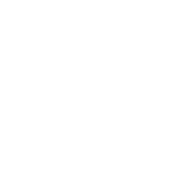 Fast Reporting and Customized Reports